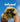 Hand holding a cannabis bud with 'Infused' text and 'Explore More' button against a blue background