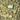 Blazed Exotic THCA Flower – Indica image 9